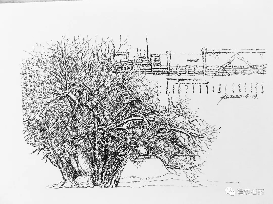 1596423430669674.jpg 5.jpg