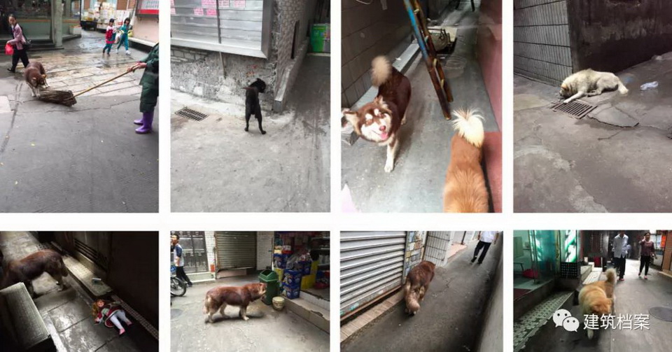 1616436427230723.jpg 43.jpg