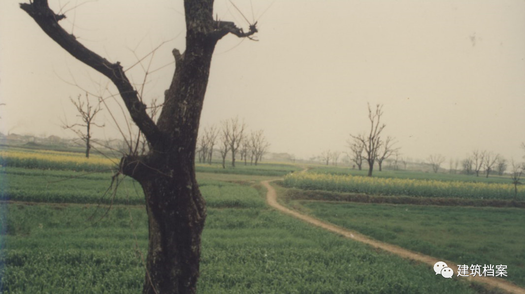 1585709817324614.jpg 7.jpg