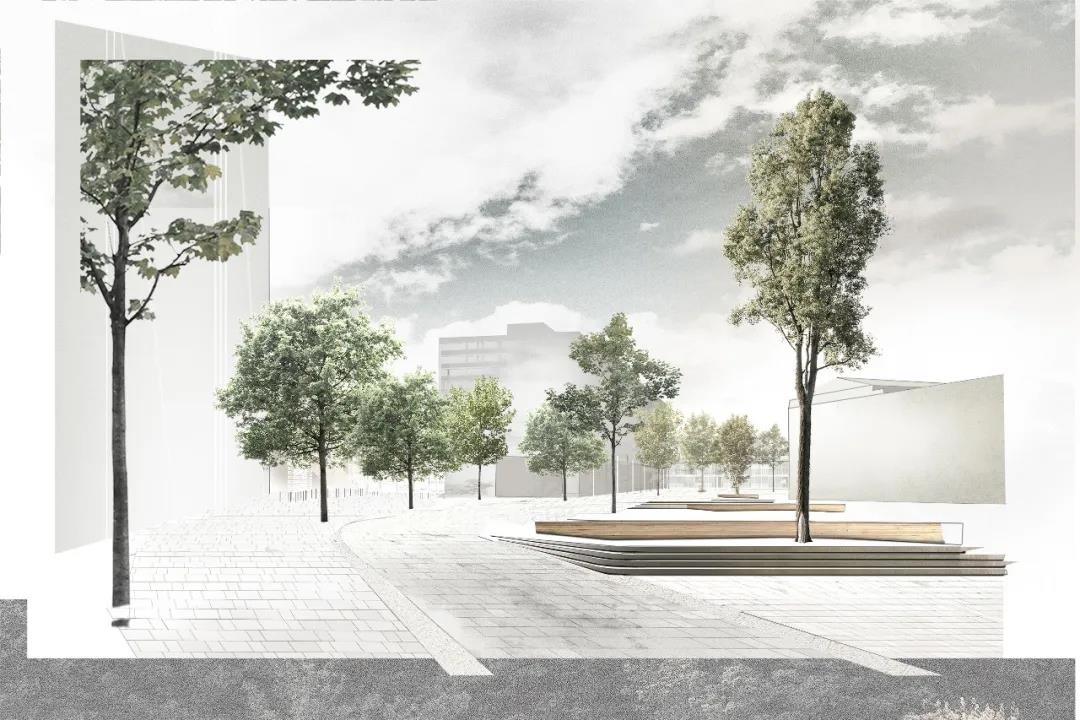 1583377065388581.jpg 16.jpg