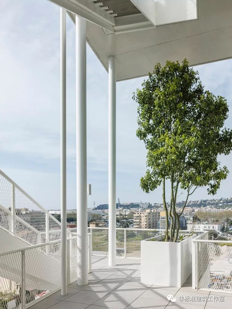 1580870887650454.jpg _39.jpg