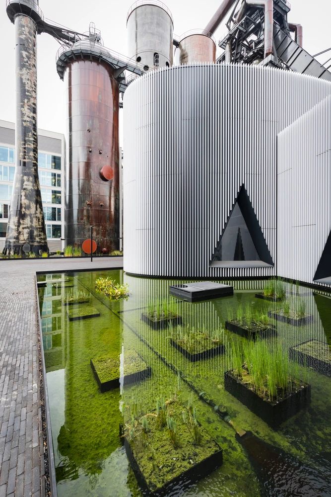 1585121819493789.jpg 8.jpg