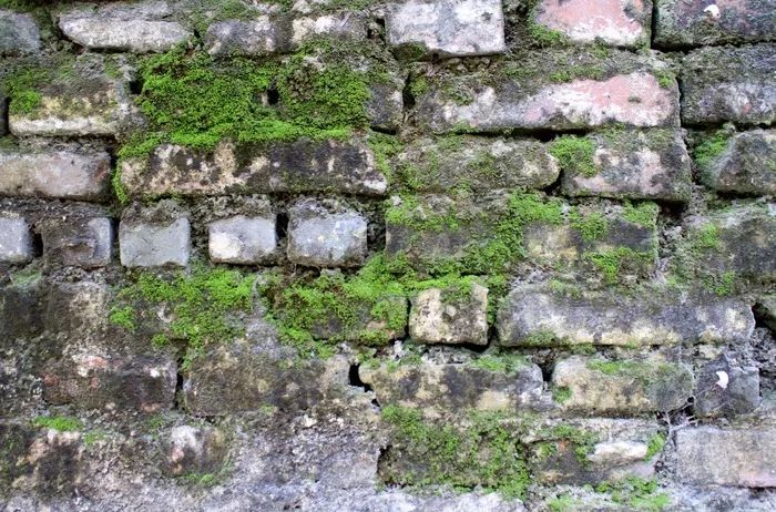 1586230598389913.jpg 13.jpg