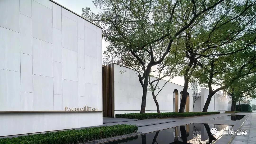 1583118625214108.jpg 14.jpg