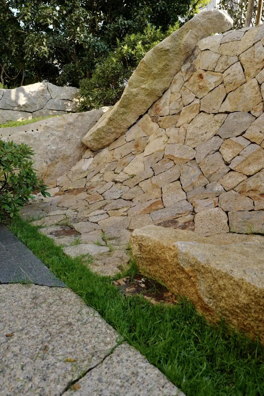 1585277456763395.jpg 12.jpg