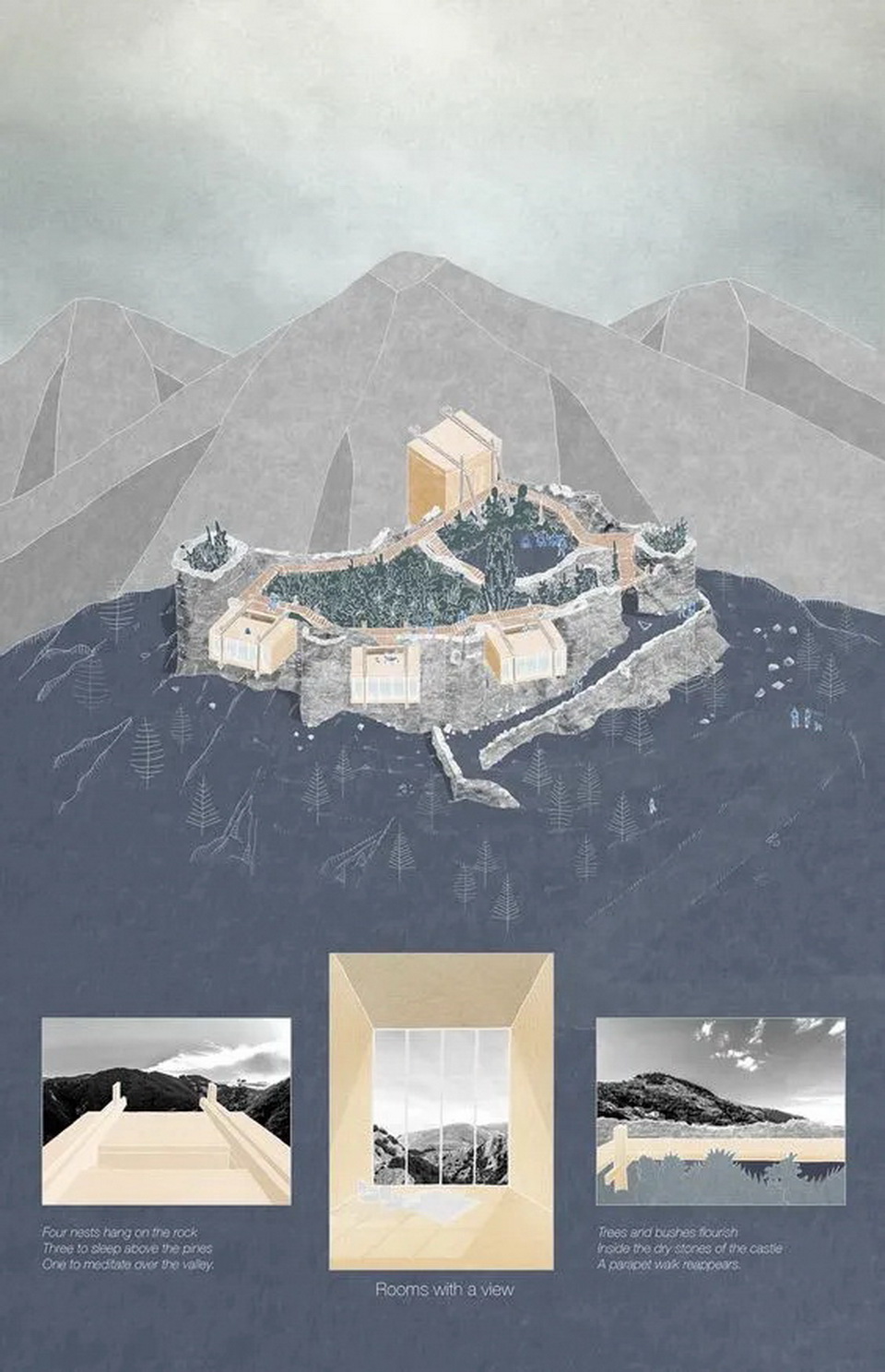 1625491939637643.jpg 31.webp.jpg