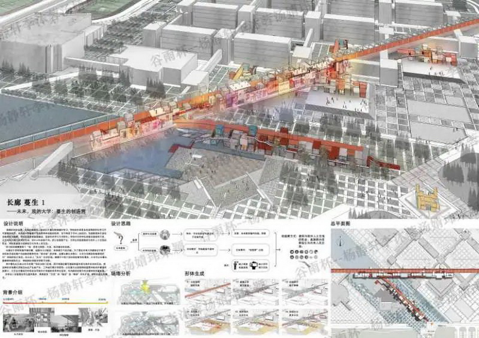 1620921625356844.jpg 39.jpg