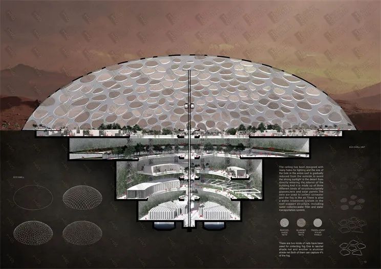 1590116593856489.jpg 30.jpg