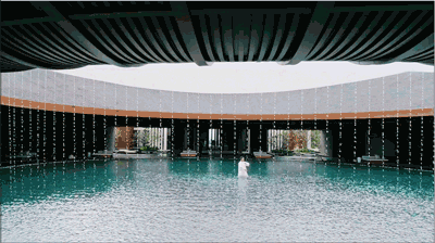 1589512270597208.gif 2.gif