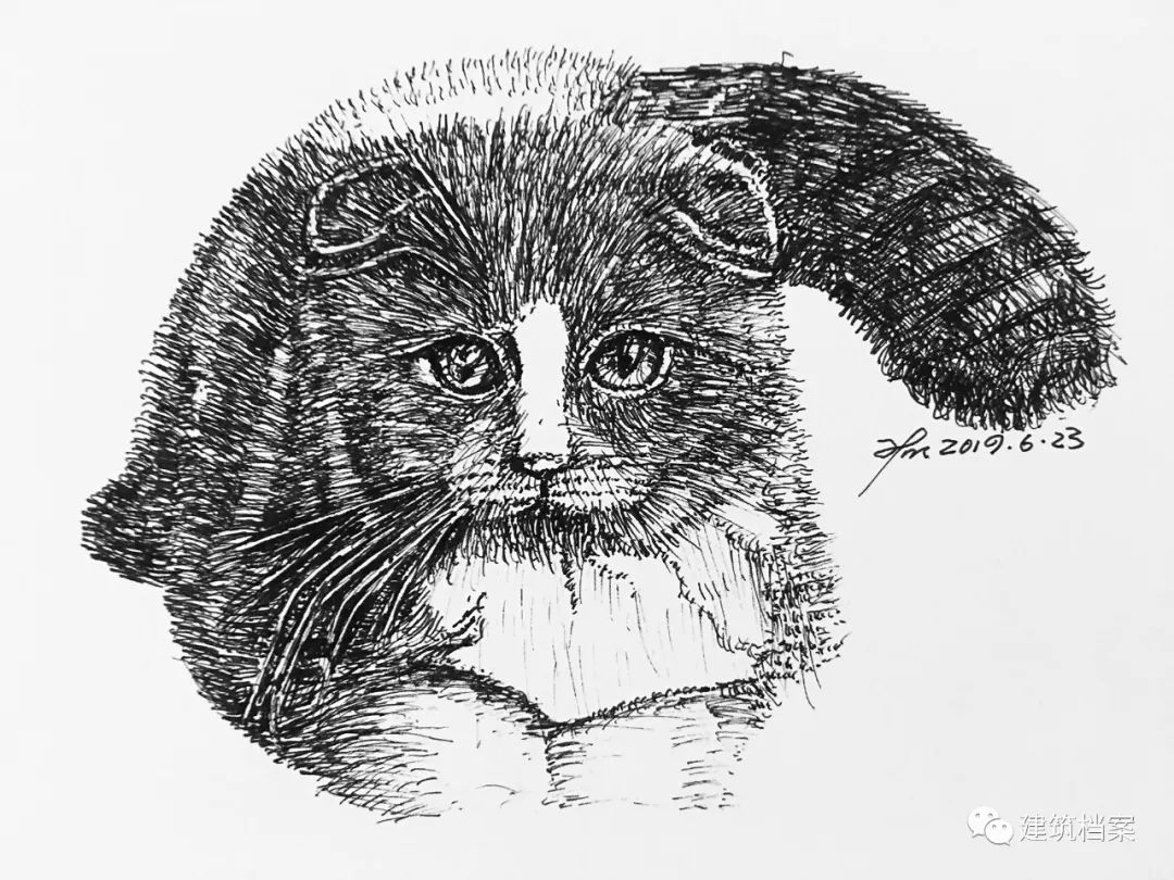 1596423786457904.jpg 29.jpg