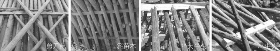 1605775072555503.jpg 13.jpg