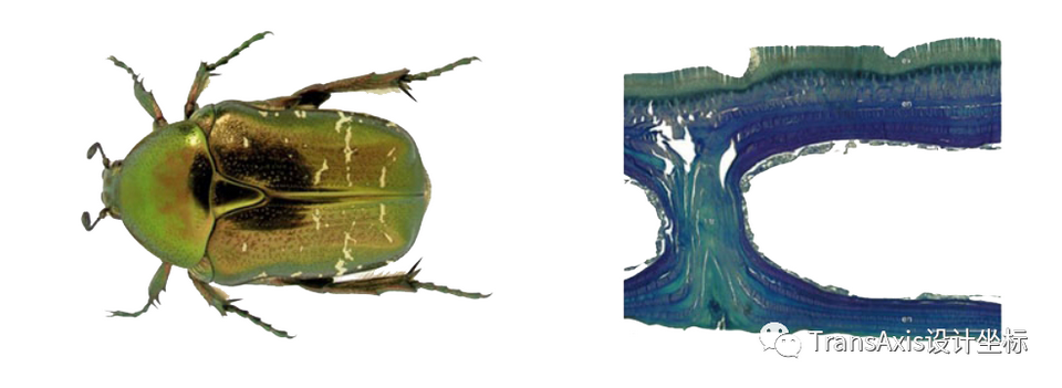 1602488612671563.png 图片27_调整大小.png