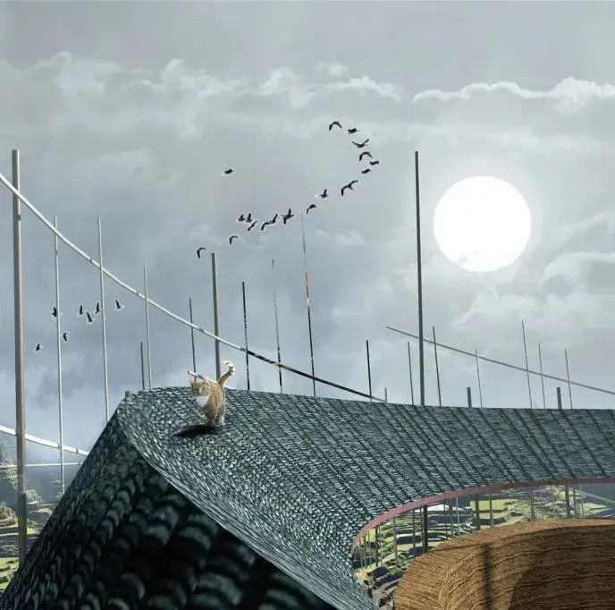 1602295232113397.png image.png
