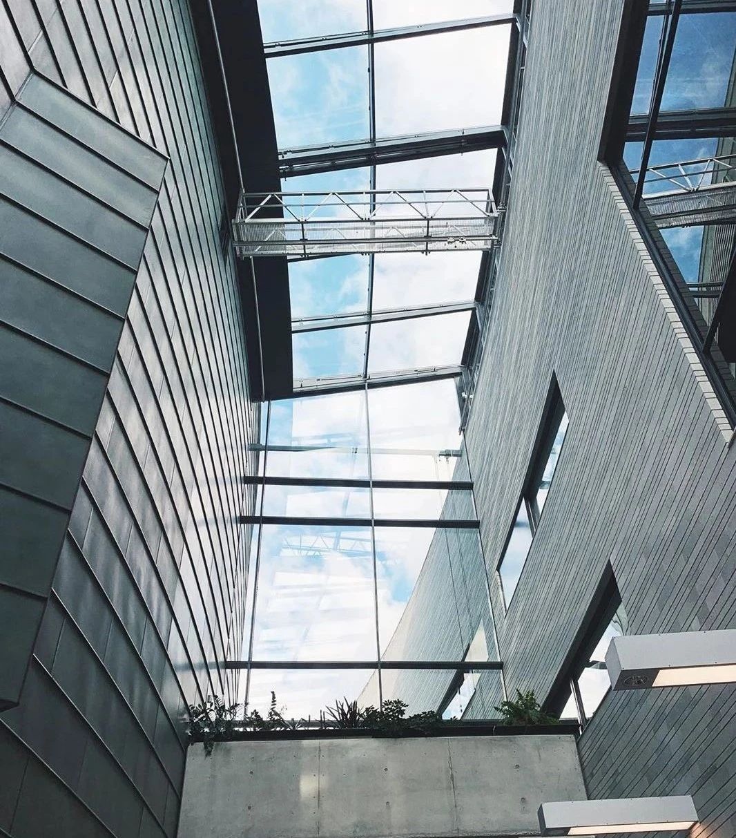 1599615619615268.jpg 16.jpg