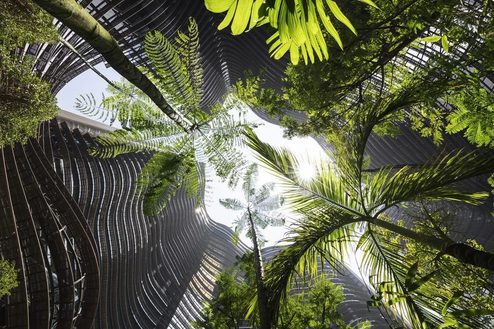 1588911408177095.jpg 8.jpg