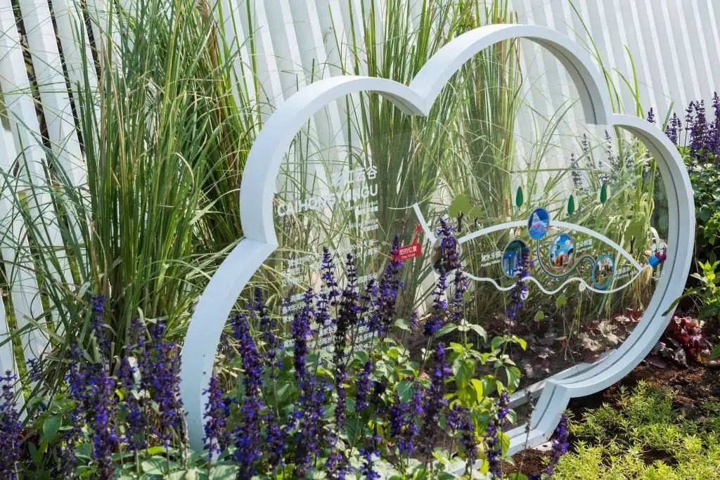 1584934208291975.jpg 14.jpg