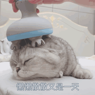 1626620626272970.gif 42.gif