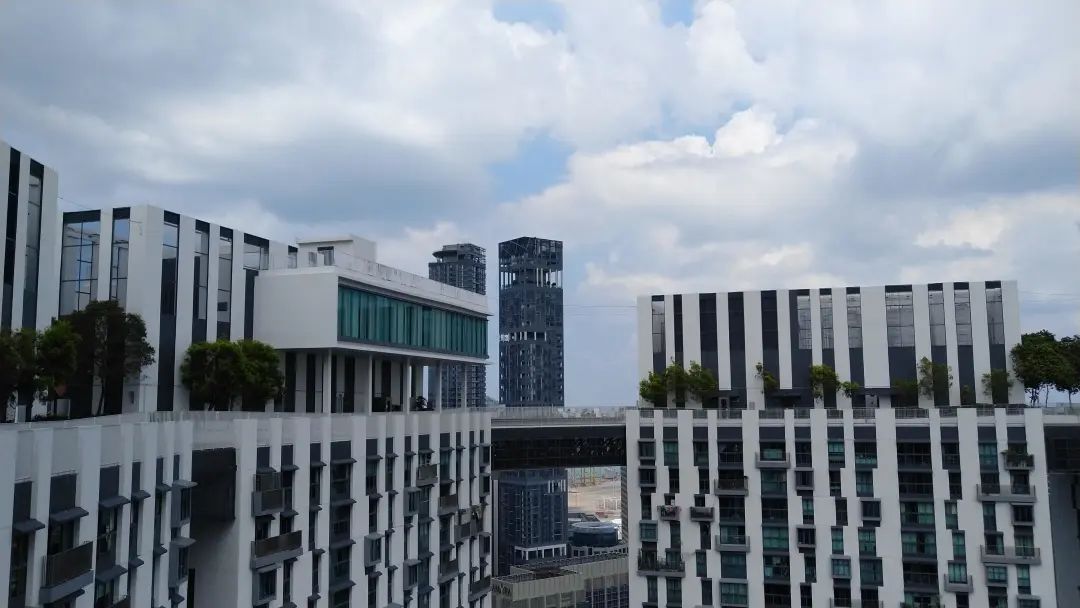 1588915100721879.jpg 8.jpg