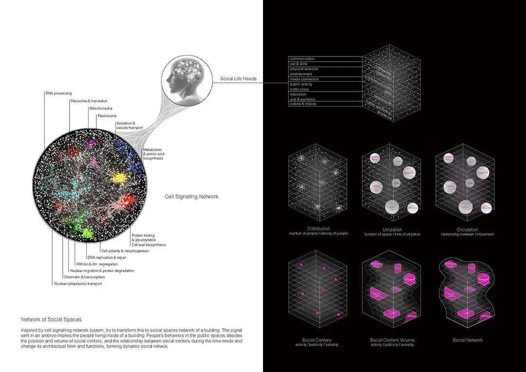 1587615038114755.jpg 10.jpg