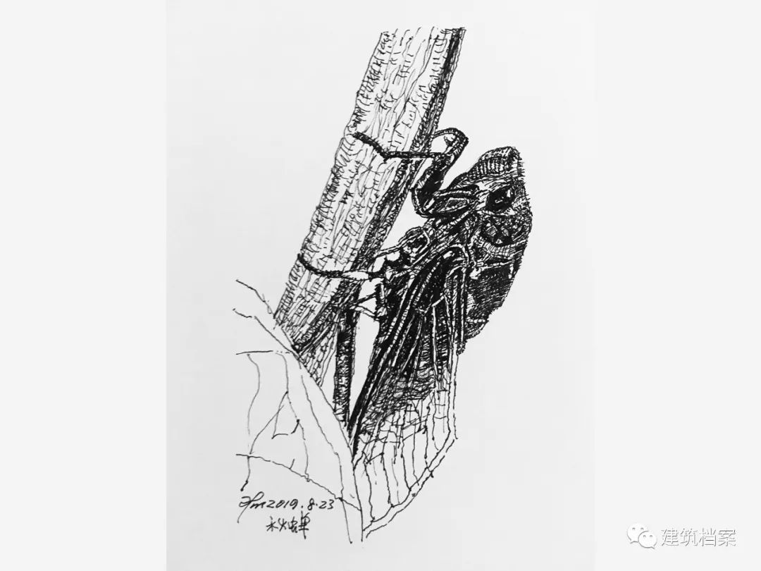 1596423723984105.jpg 24.jpg