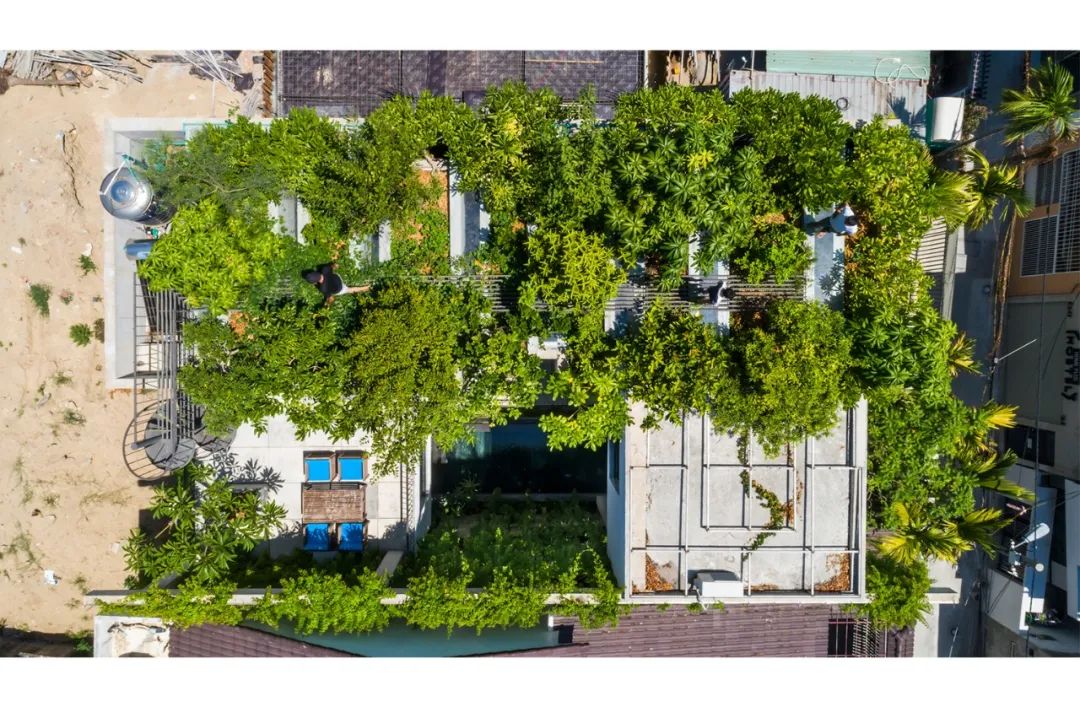 1596165293946079.jpg 62.jpg