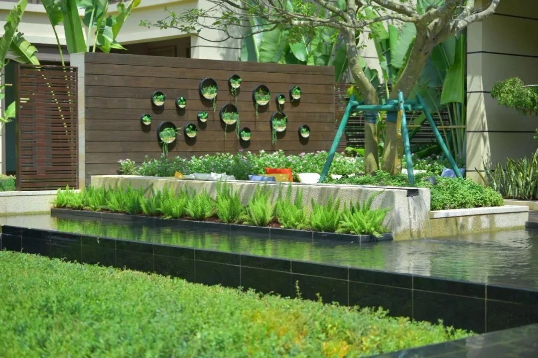 1585278721135455.jpg 18.jpg