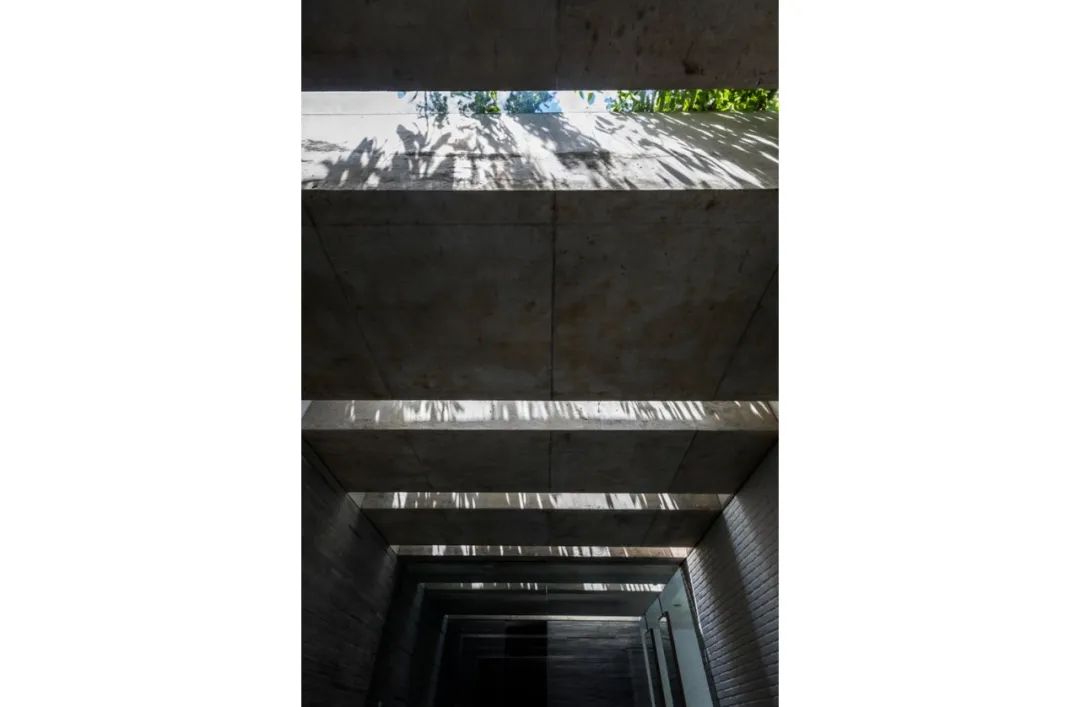 1596165378199416.jpg 69.jpg