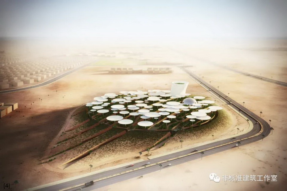 1610551326433111.jpg 56.jpg