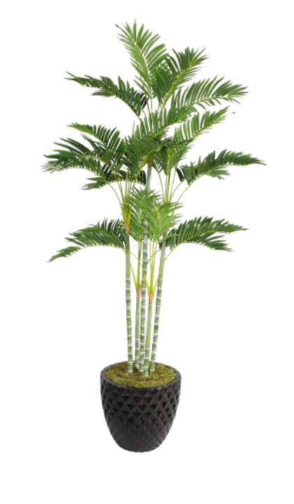 1596900251159653.png 16.png