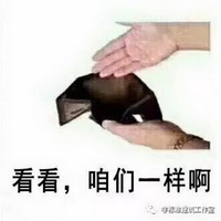 1605507566118475.jpg 13.jpg