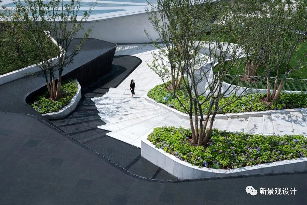 1595992397528434.jpg 9.jpg