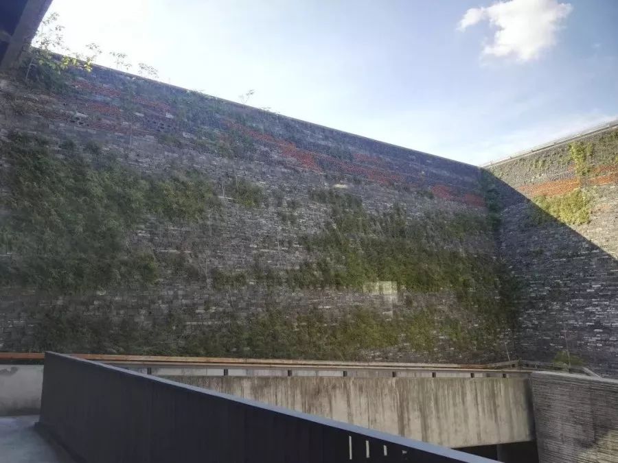 1586231270297449.jpg 15.jpg