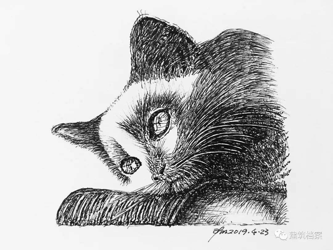 1596423818671235.jpg 31.jpg