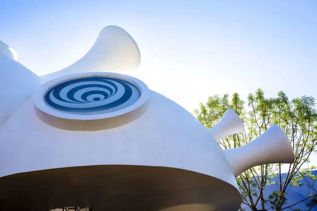 1584933460875300.jpg 6.jpg