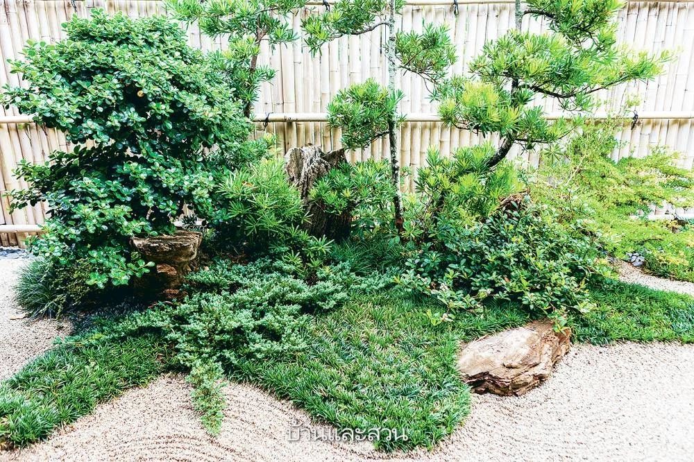 1584415998683277.jpg 4.jpg