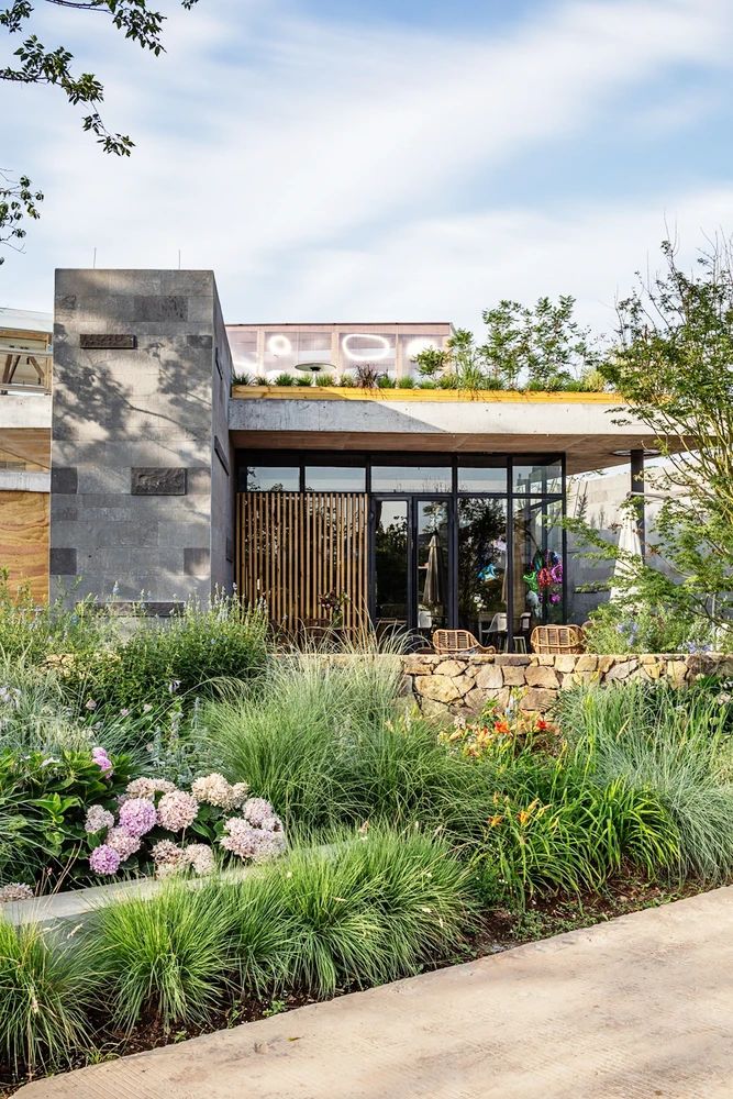 1584414401703329.jpg 20.jpg