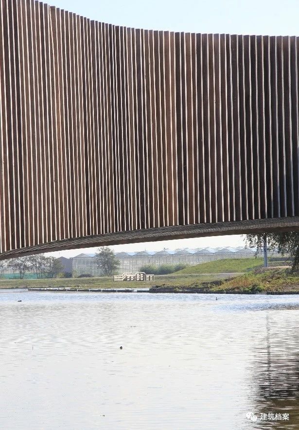 1587709636230776.jpg 25.jpg