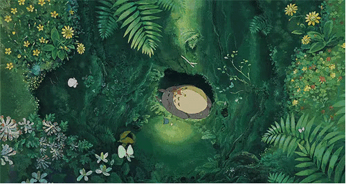 26.gif