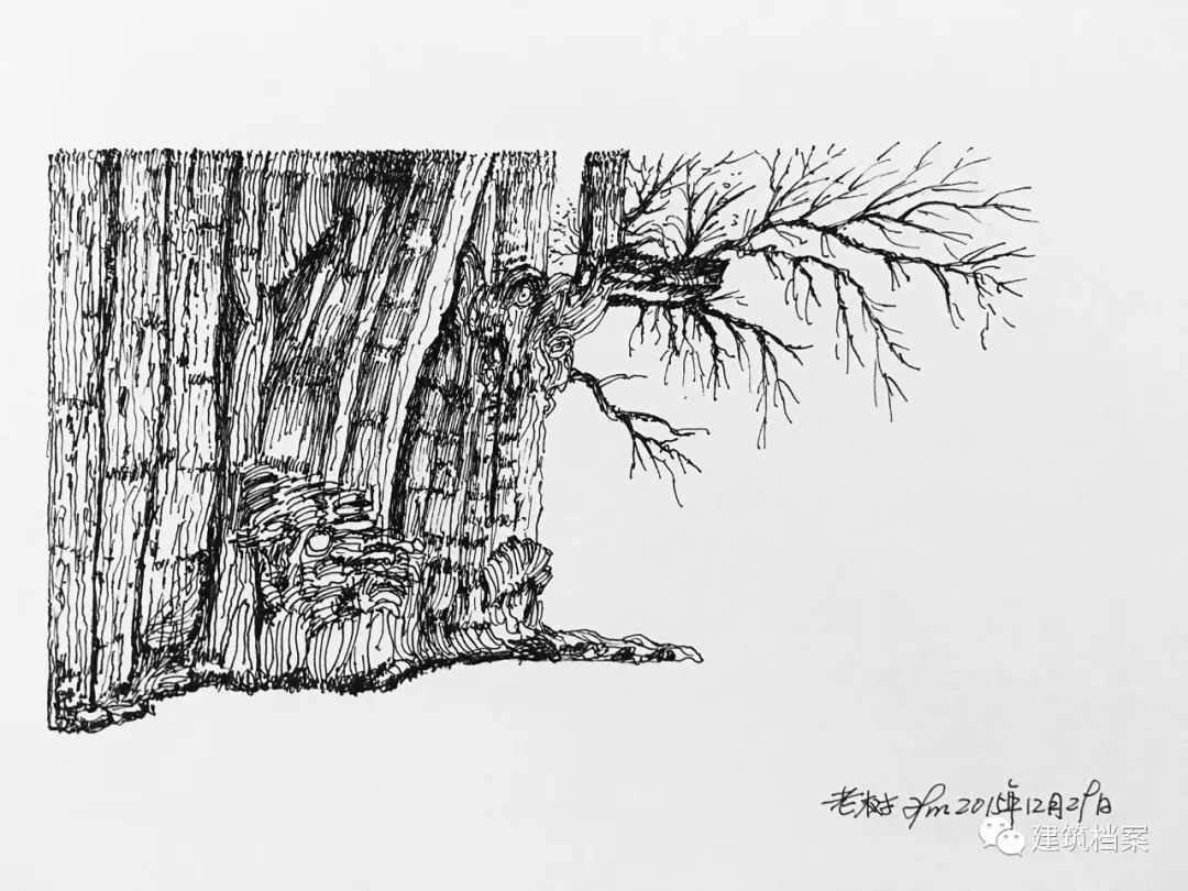 1596423452143782.jpg 7.jpg