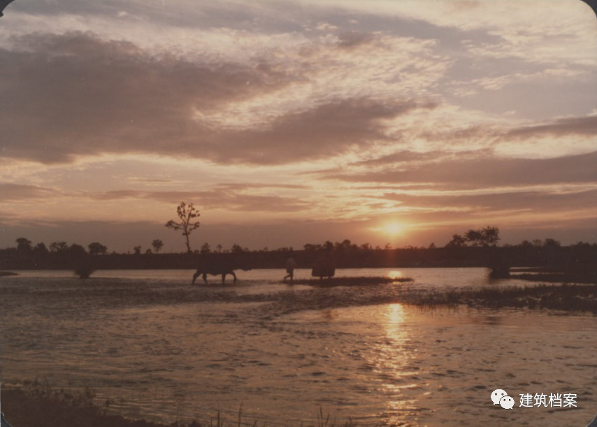 1585709799793589.jpg 6.jpg