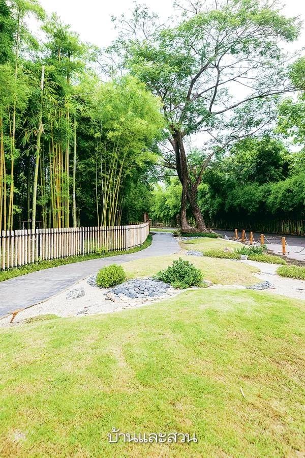 1584415986259919.jpg 2.jpg