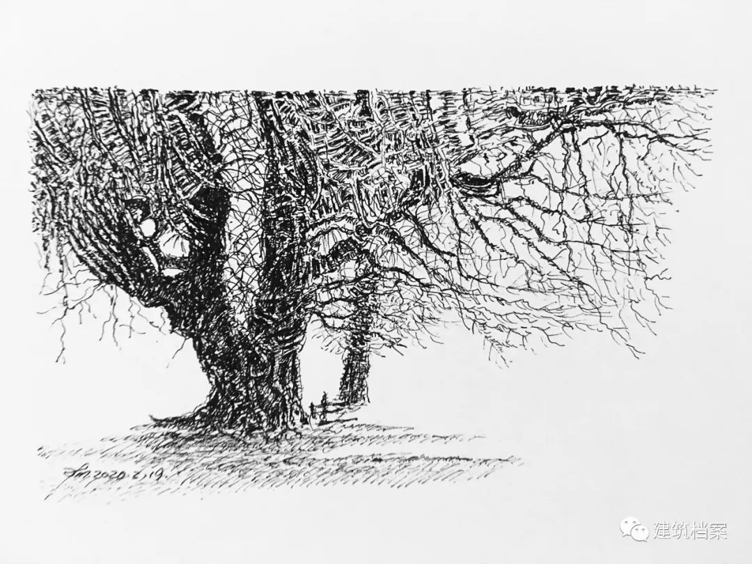 1596423396763824.jpg 3.jpg