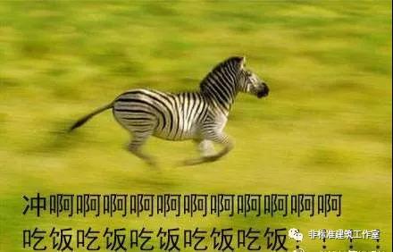 1583203518638890.jpg 2.jpg