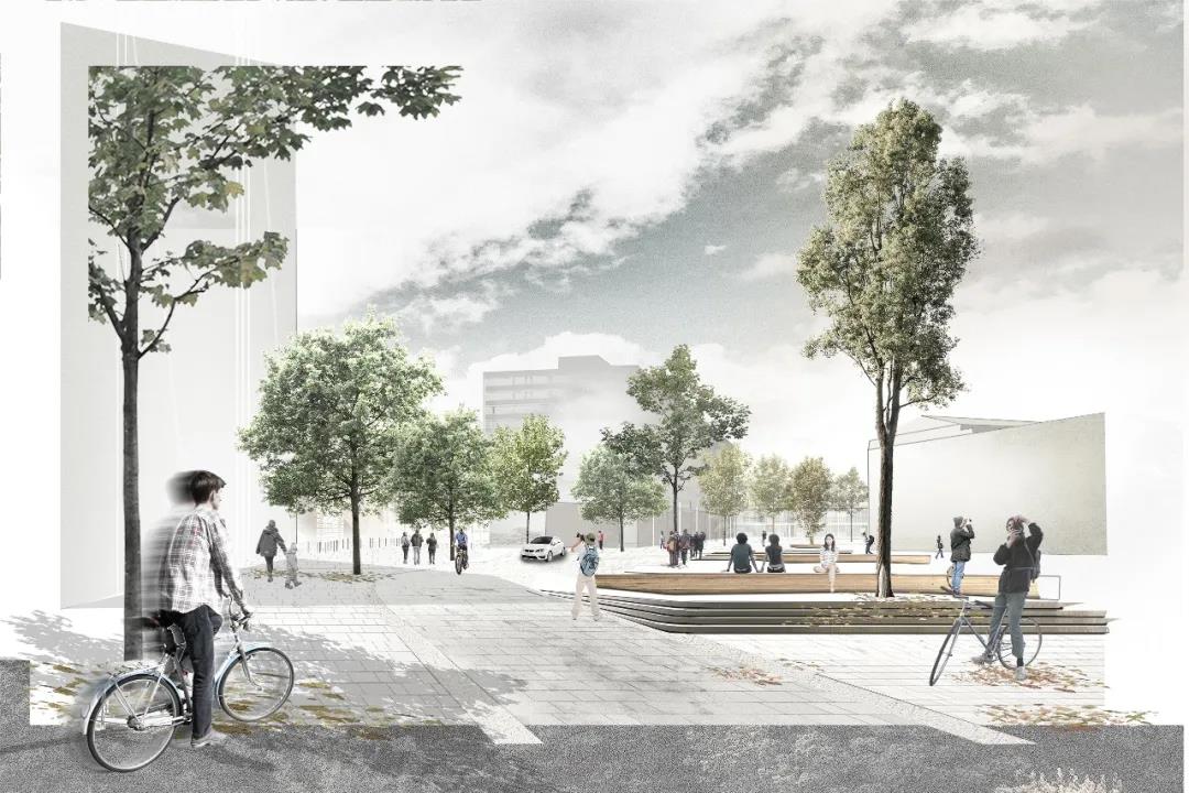 1583377216487402.jpg 19.jpg