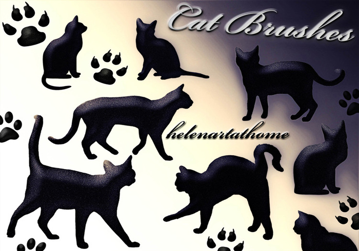1514360437714454.jpg cat-brushes.jpg