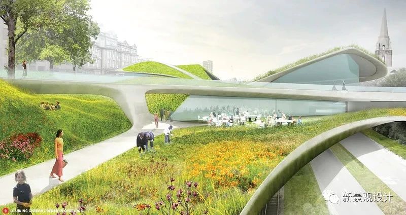 1595991711764918.jpg 14.jpg