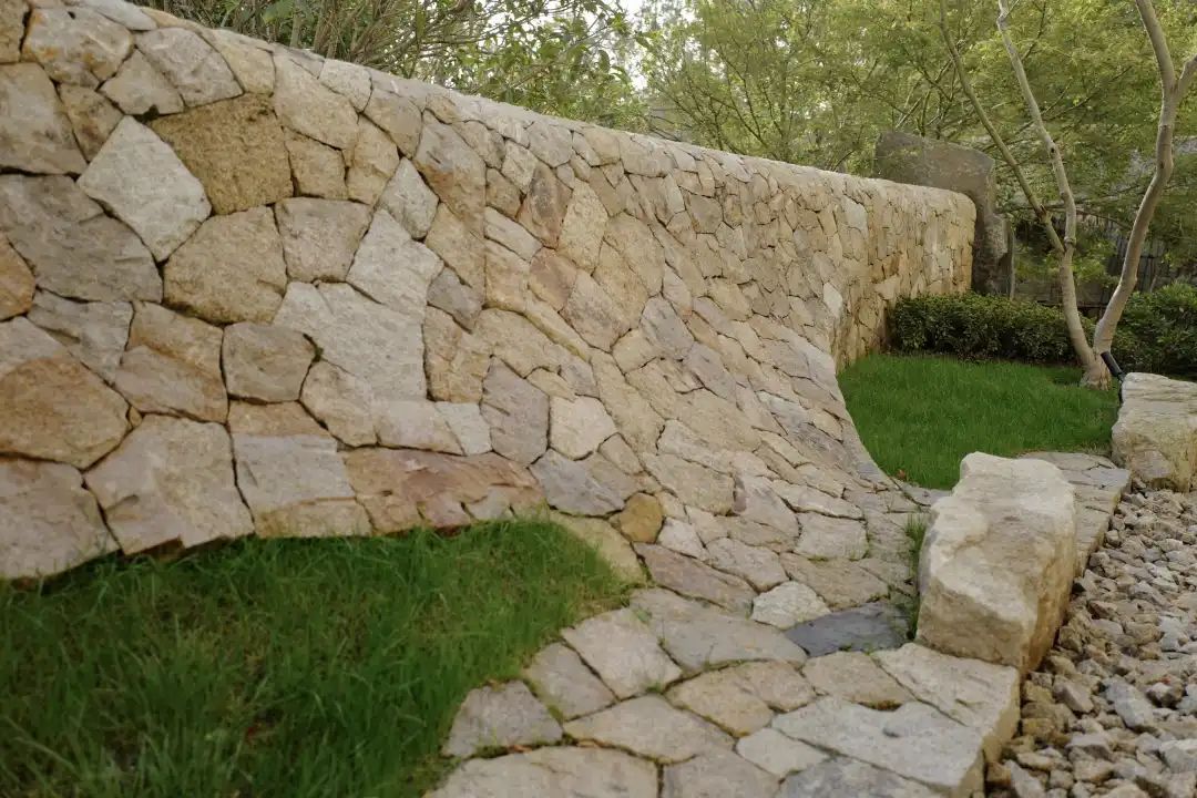 1585277517962917.jpg 14.jpg