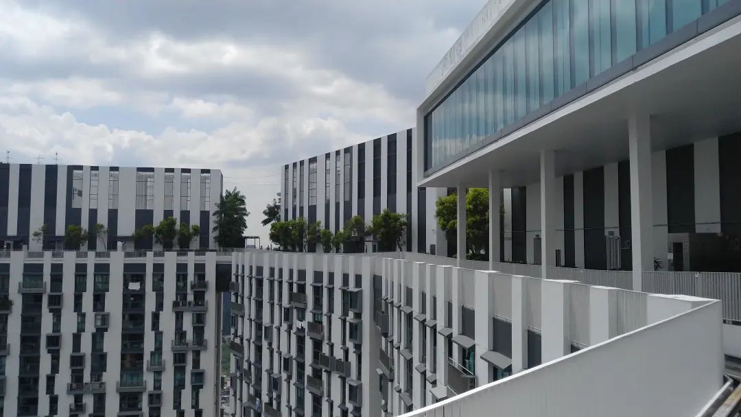 1588915095729859.jpg 7.jpg