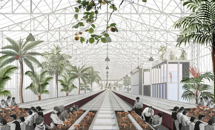 1596899988709560.jpg 4.jpg