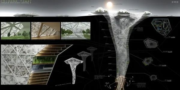 1590115776789625.jpg 12.jpg